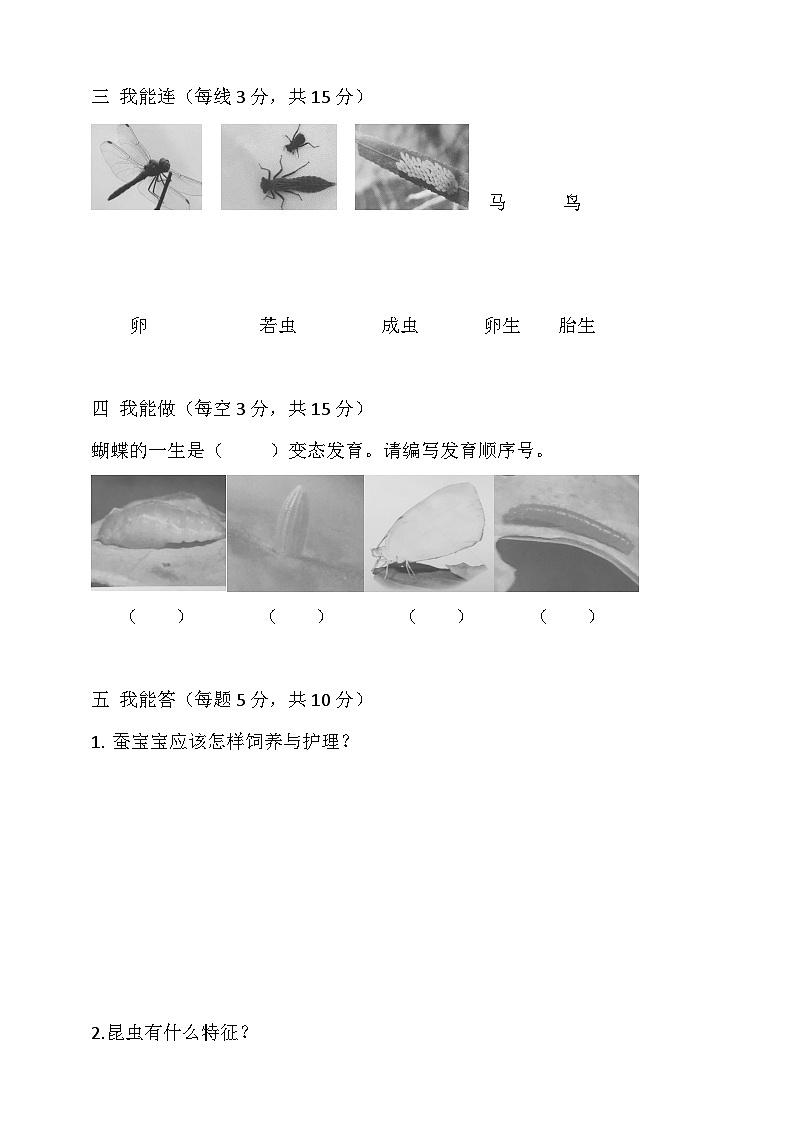 湘科版四年级下册科学第二单元测试题(含答案)第3页