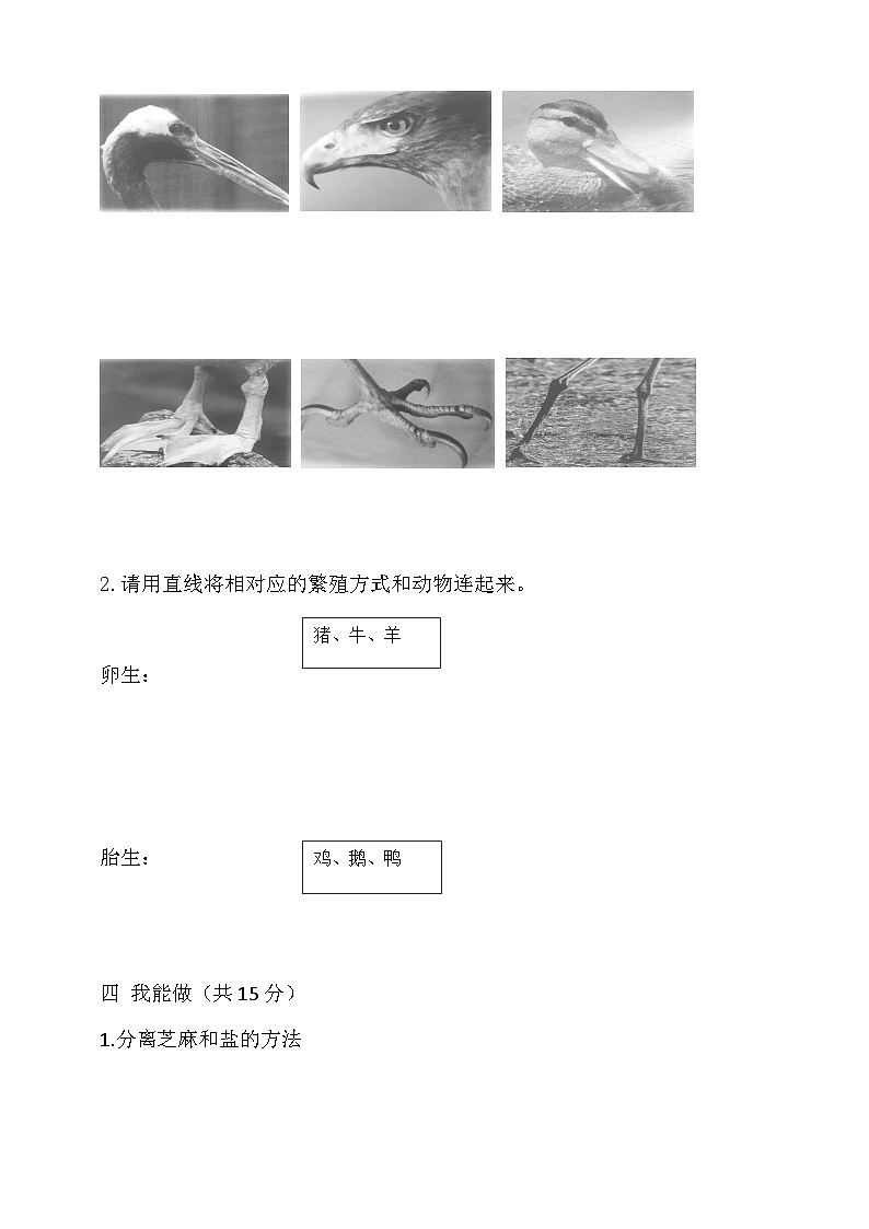湘科版四年级下册科学期中测试题(含答案)第3页