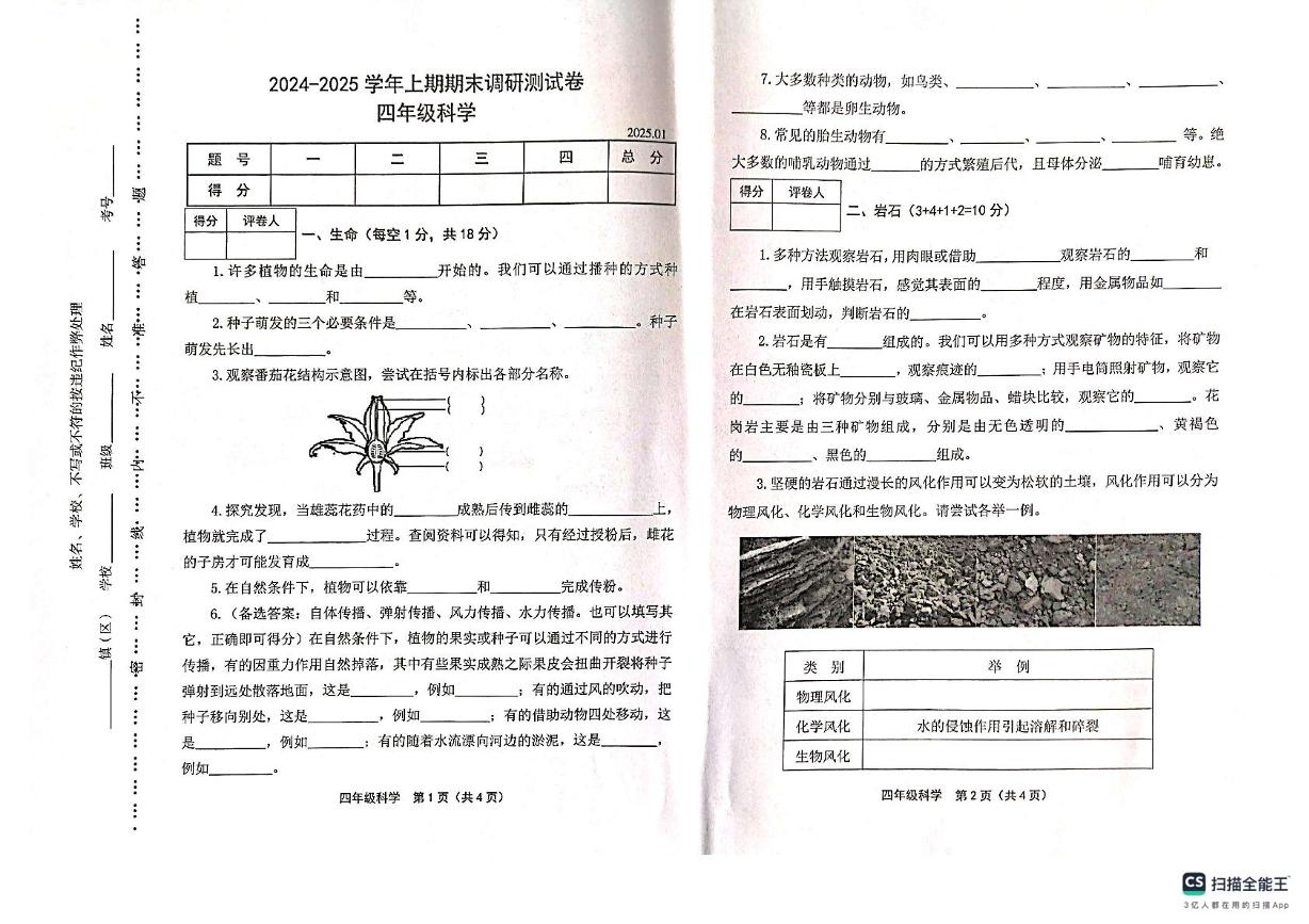 河南省新乡市卫辉市2024-2025学年四年级上学期期末调研科学试卷