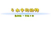 小學(xué)教科版（2024）第二單元 常見的動(dòng)物4.水中的動(dòng)物教學(xué)ppt課件