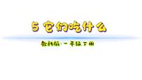 小學(xué)科學(xué)教科版（2024）一年級(jí)下冊(cè)（2024）第二單元 常見的動(dòng)物5.它們吃什么教學(xué)課件ppt