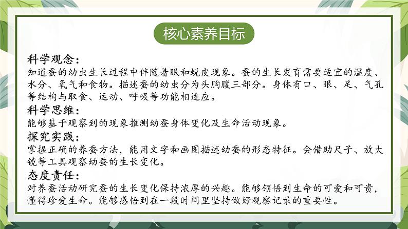 2.3 蚕长大了(教学课件)(教科版)第4页