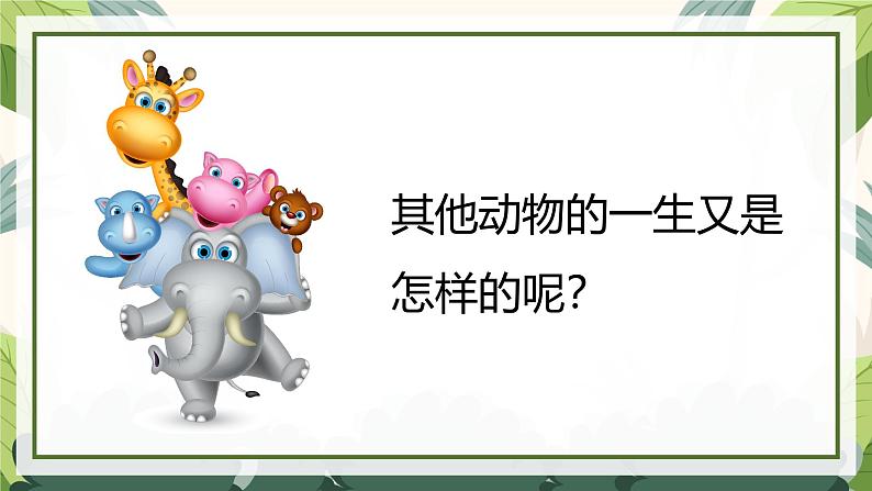 2.8 动物的一生(教学课件)(教科版)第7页