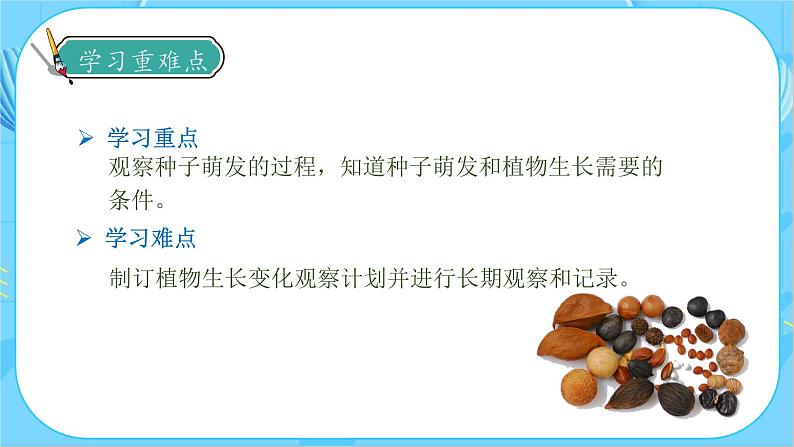【备课无忧】教科版四下-1.2 种植凤仙花(课件)第5页
