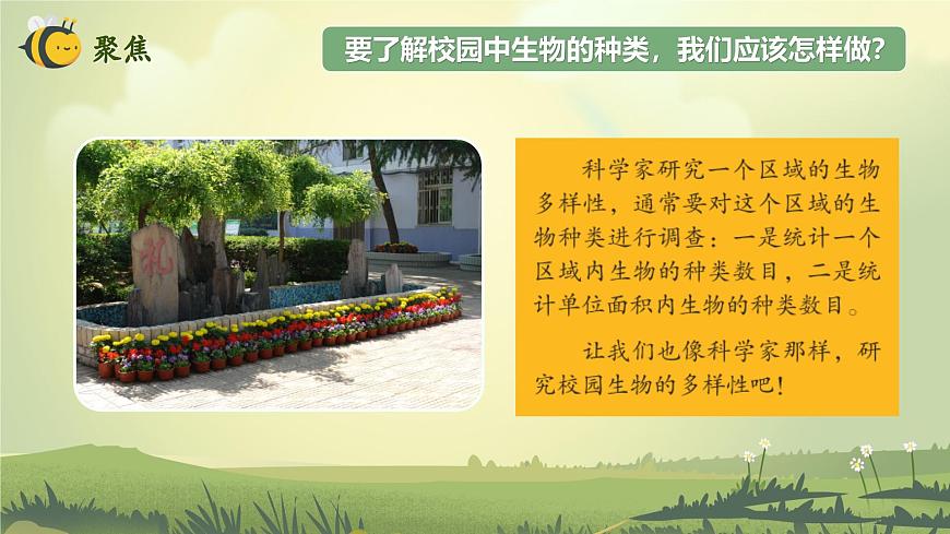 2.1 校園生物大搜索（教學(xué)課件）（教科版）第5頁(yè)