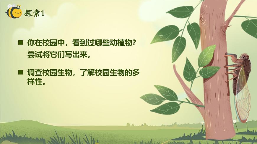 2.1 校園生物大搜索（教學(xué)課件）（教科版）第6頁(yè)