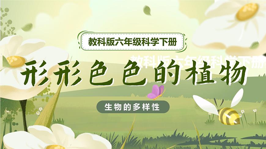 2.3 形形色色的植物（教學(xué)課件）（教科版）第1頁(yè)