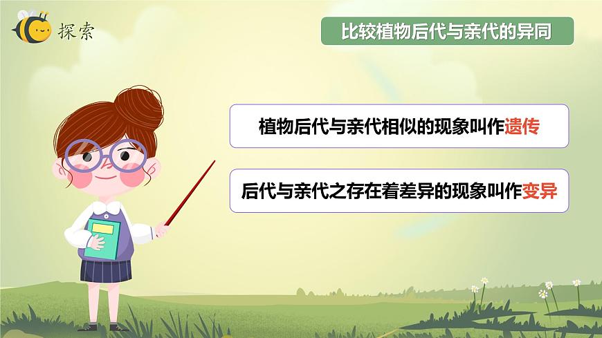 2.3 形形色色的植物（教學(xué)課件）（教科版）第8頁(yè)