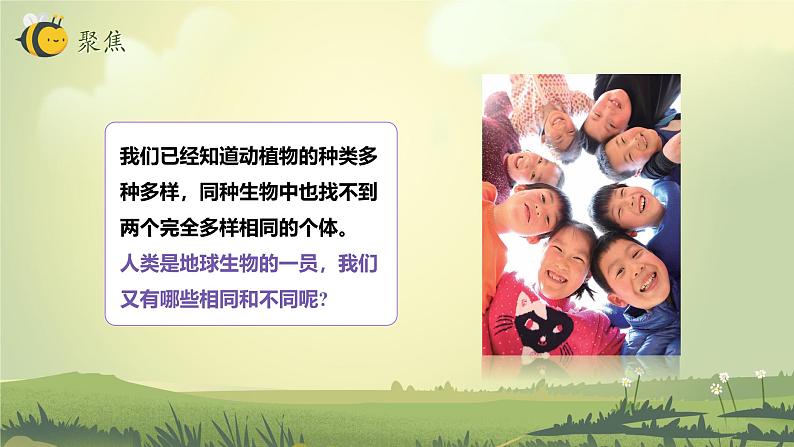 2.5 相貌各异的我们(教学课件)(教科版)第3页