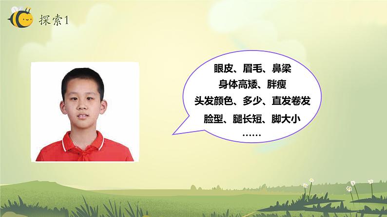 2.5 相貌各异的我们(教学课件)(教科版)第5页