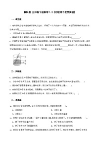 小學(xué)教科版（2024）2.比較種子發(fā)芽實驗精品同步測試題