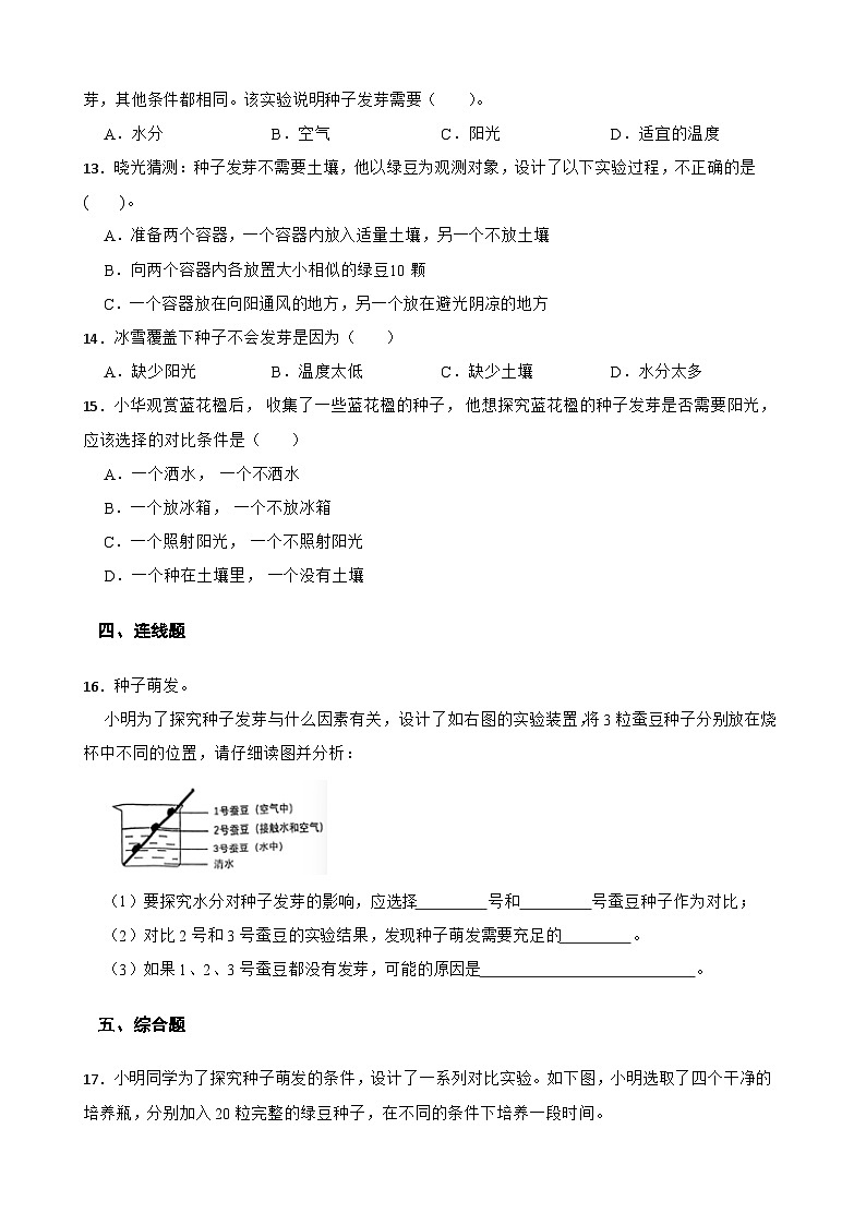 教科版科学五年级下册第1单元 2《比较种子发芽实验》同步练习(含解析)第2页