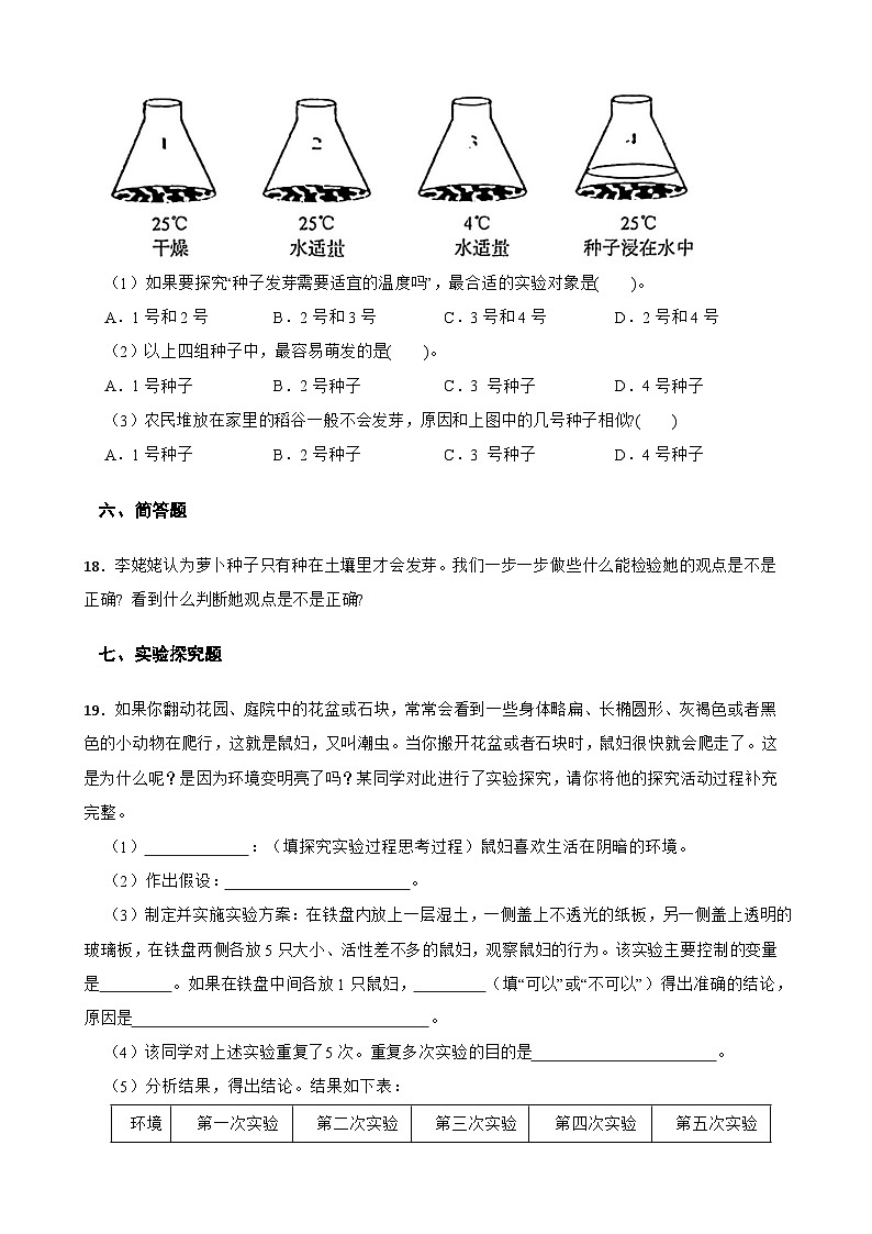 教科版科学五年级下册第1单元 2《比较种子发芽实验》同步练习(含解析)第3页