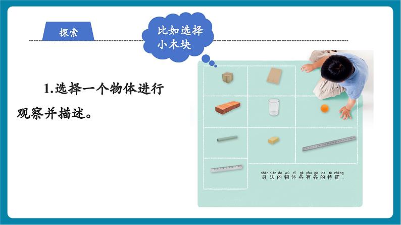 1.1 观察物体的特征(教学课件)第6页