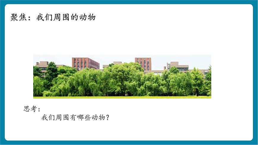 2.1 我們周圍的動物（教學(xué)課件）第4頁