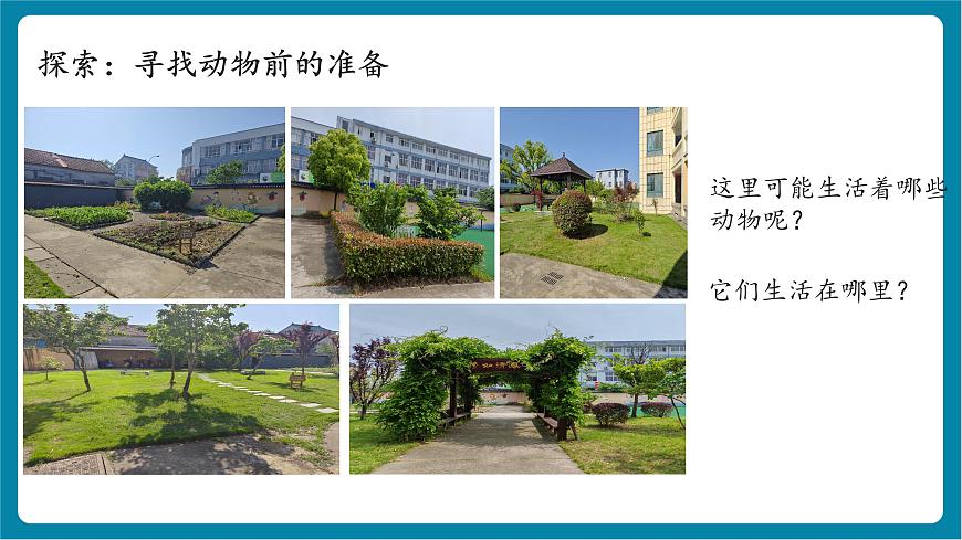 2.1 我們周圍的動物（教學(xué)課件）第8頁