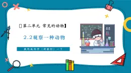 【新教材核心素养】教科版科学一年级下册2.2 观察一种动物（教学课件+同步教学设计）