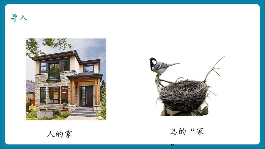 2.3 給蝸牛建個“家”（教學(xué)課件）第4頁