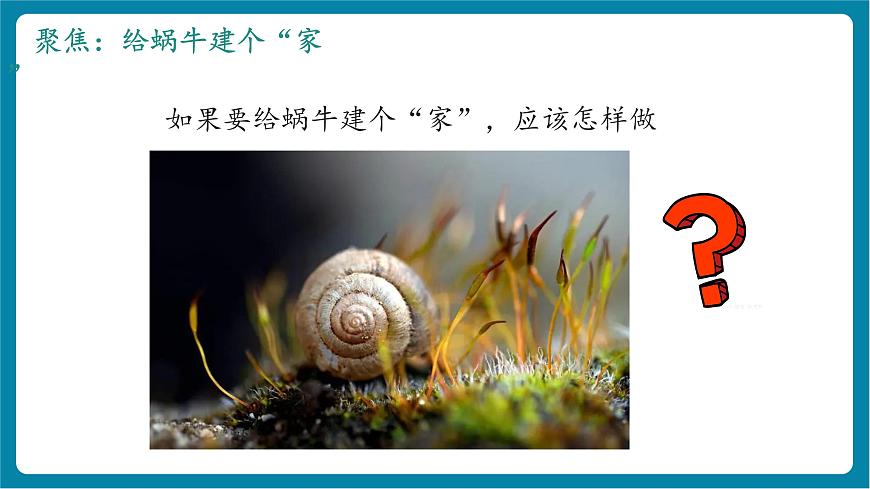 2.3 給蝸牛建個“家”（教學(xué)課件）第5頁