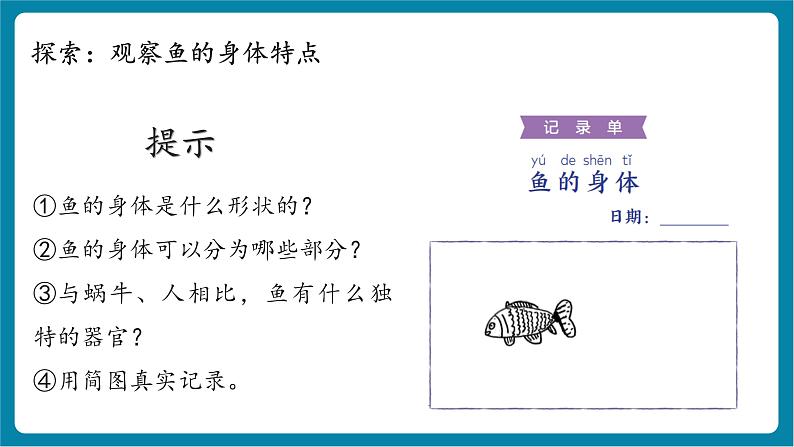 2.4 水中的动物(教学课件)第7页