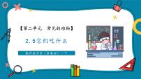 小學(xué)教科版（2024）5.它們吃什么精品教學(xué)ppt課件