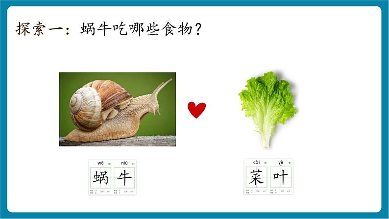 2.5 它们吃什么(教学课件)第6页