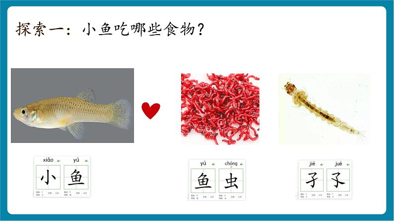 2.5 它们吃什么(教学课件)第8页