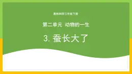 教科版科学三下 2.3 《蚕长大了》课件+教学设计（教学反思）+素材