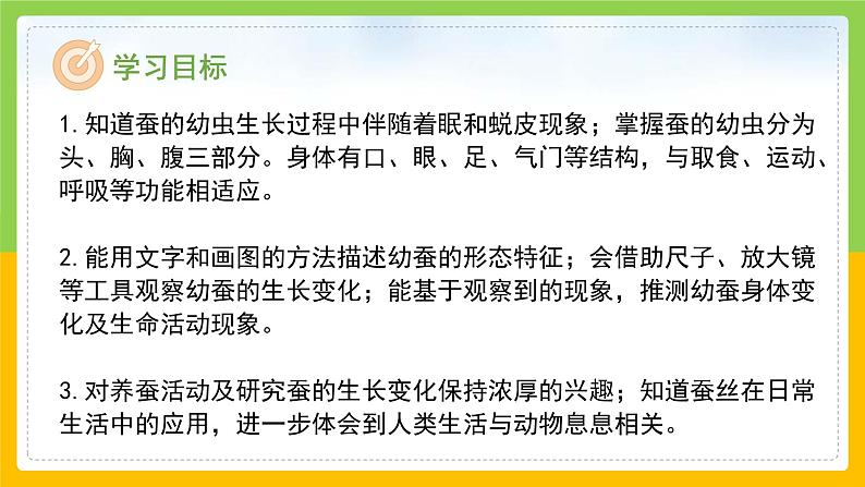 教科版科学三下 2.3 《蚕长大了》课件第2页