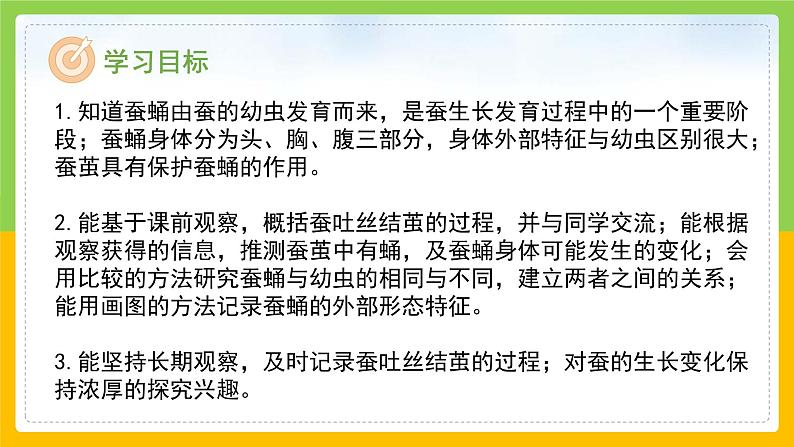 教科版科学三下 2.4 《蚕变了新模样》课件第2页