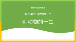 教科版科学三下 2.8 《动物的一生》课件+教学设计（教学反思）+素材