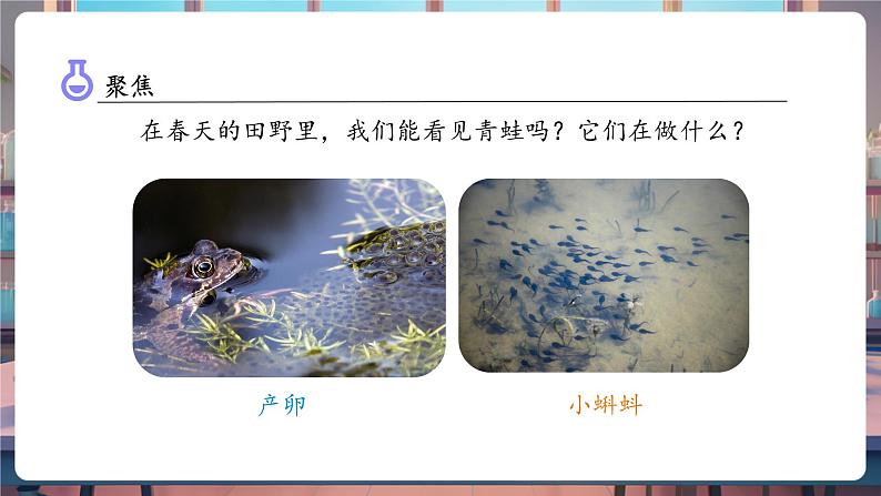 1.5 当环境改变了(教学课件)第6页