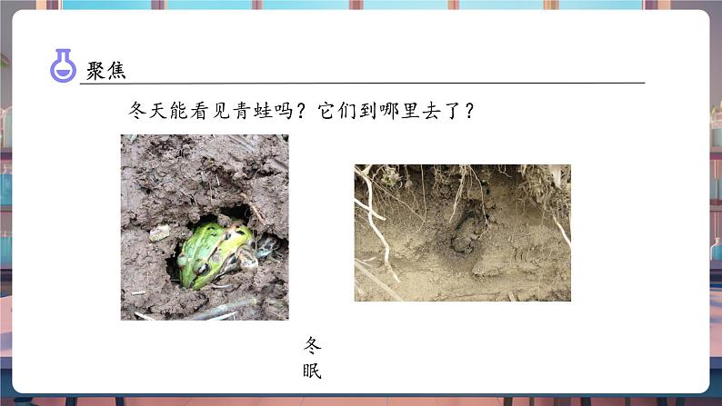 1.5 当环境改变了(教学课件)第7页