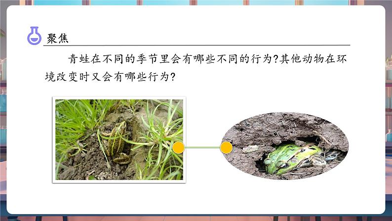 1.5 当环境改变了(教学课件)第8页