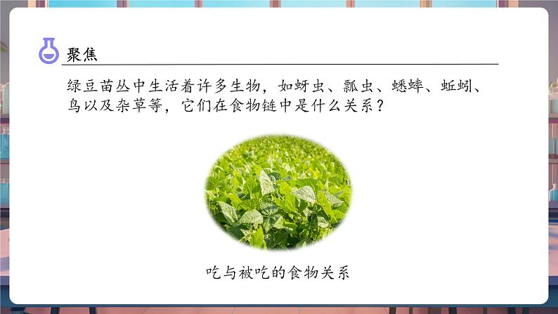 1.7 设计和制作生态瓶(教学课件)第5页