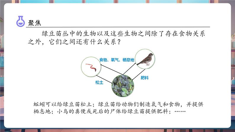 1.7 设计和制作生态瓶(教学课件)第6页