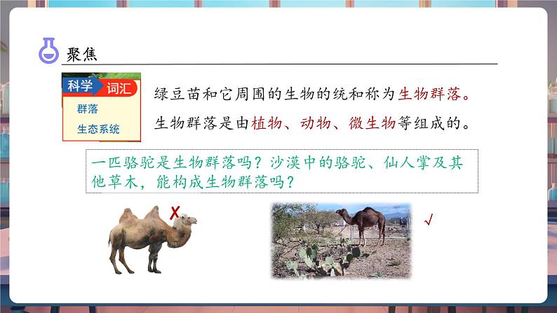 1.7 设计和制作生态瓶(教学课件)第7页