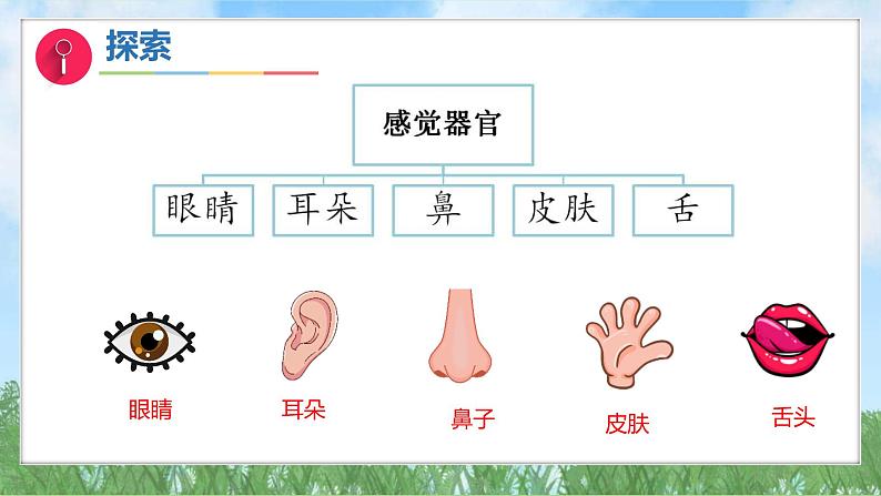 (2025新版)1-6-哪个流动得快-教科版科学一年级下册(最新版)课件第7页