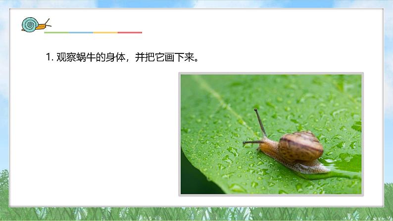(2025新版)2-2-观察一种动物-教科版科学一年级下册(最新版)课件第5页