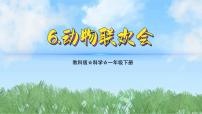科學(xué)一年級下冊（2024）6.動物聯(lián)歡會課堂教學(xué)ppt課件
