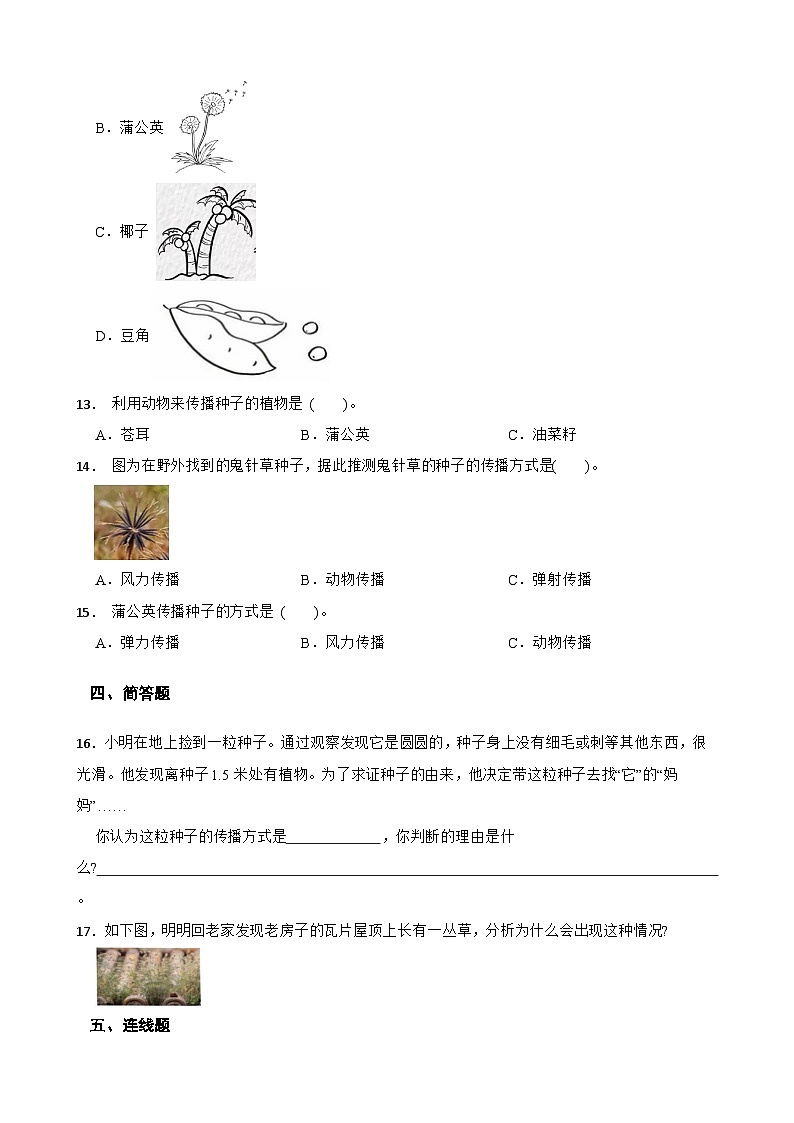 教科版科學(xué)四年級下冊第1單元 7《種子的傳播》同步練習(xí)(含解析)第2頁