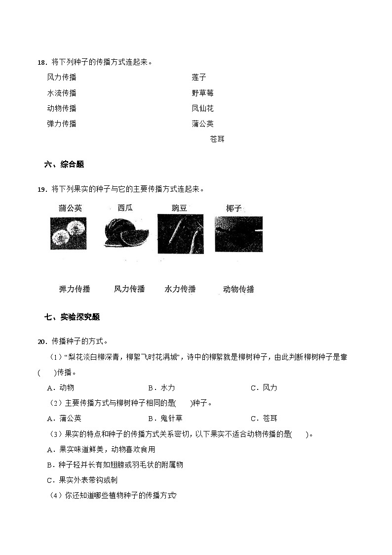 教科版科學(xué)四年級下冊第1單元 7《種子的傳播》同步練習(xí)(含解析)第3頁
