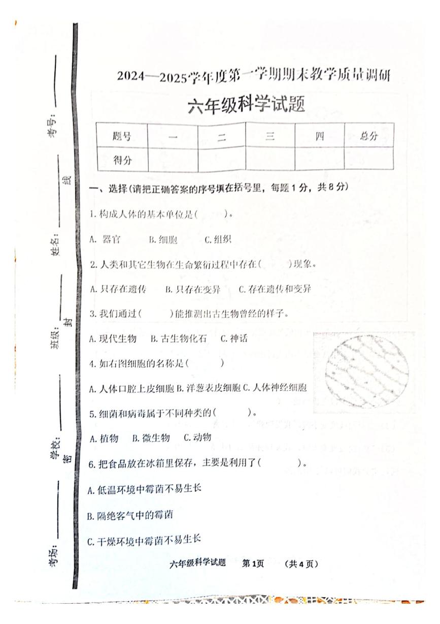 山东省济宁市经开区2024-2025学年六年级上学期期末教学质量调研科学试题