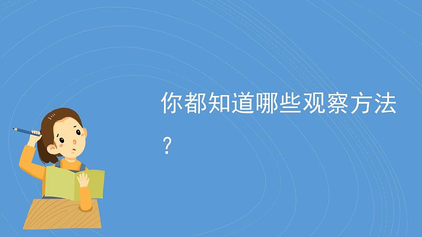 1.單元小結（教科版2024）一年級科學下冊課件第5頁