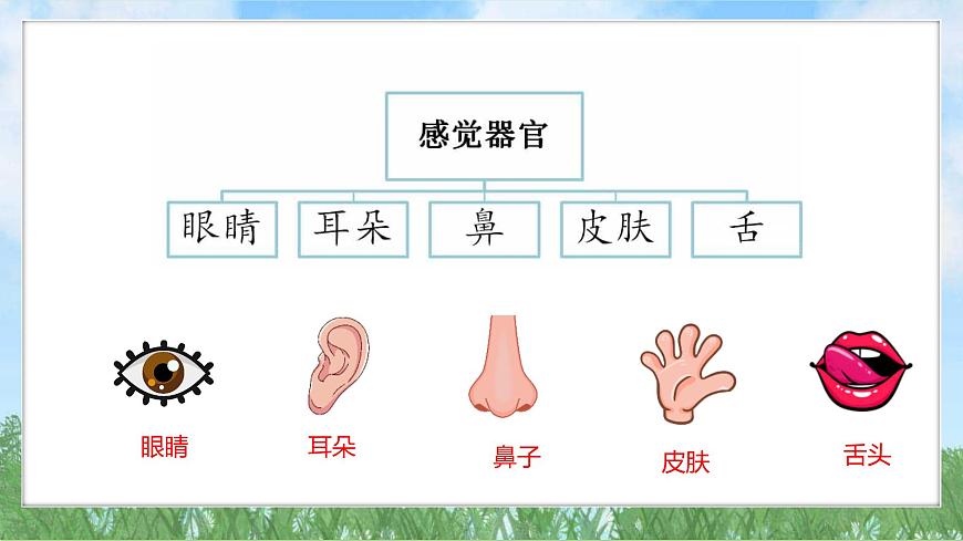 1.單元小結（教科版2024）一年級科學下冊課件第6頁