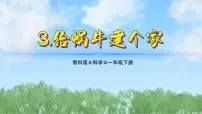 小学科学教科版(2024)一年级下册(2024)3.给蜗牛建个“家”说课课件ppt
