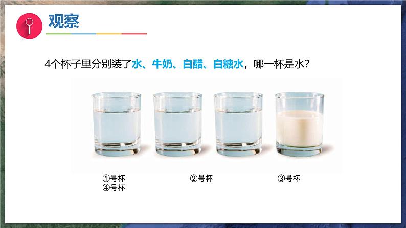 4《水是什么样的》(教学课件)科学一年级下册(苏教版2024)第3页