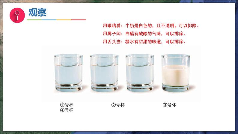 4《水是什么样的》(教学课件)科学一年级下册(苏教版2024)第7页