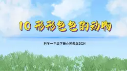 10《形形色色的动物》（教学课件）科学一年级下册（苏教版2024）