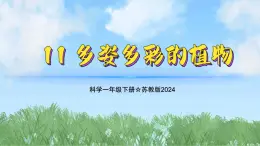 11《多姿多彩的植物》（教学课件）科学一年级下册（苏教版2024）